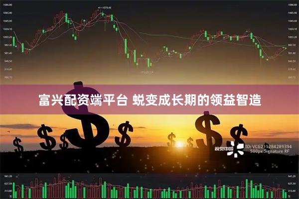 富兴配资端平台 蜕变成长期的领益智造