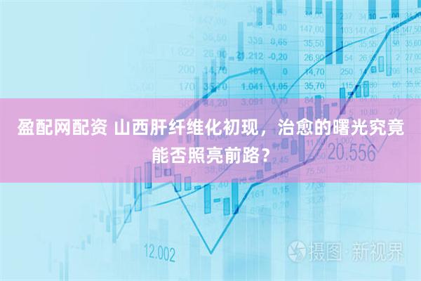 盈配网配资 山西肝纤维化初现，治愈的曙光究竟能否照亮前路？