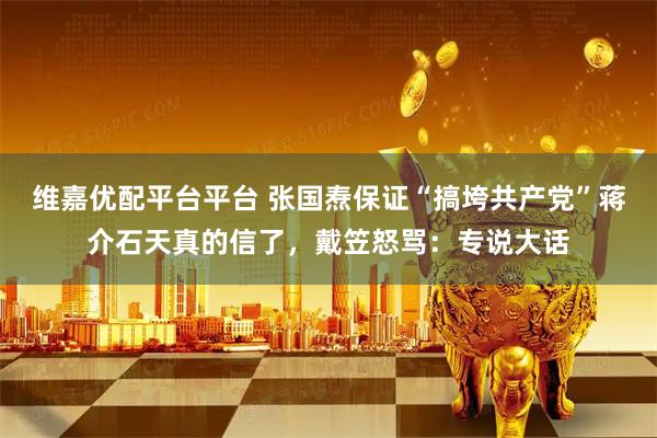 维嘉优配平台平台 张国焘保证“搞垮共产党”蒋介石天真的信了，戴笠怒骂：专说大话