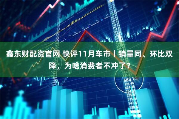 鑫东财配资官网 快评11月车市丨销量同、环比双降，为啥消费者不冲了？