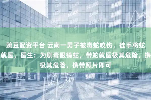豌豆配资平台 云南一男子被毒蛇咬伤，徒手将蛇活捉到医院就医，医生：为剧毒眼镜蛇，带蛇就医极其危险，携带照片即可